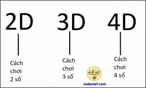 Thuật ngữ lô đề Các từ ngữ về lô đề không được quên [mới nhất 2025]